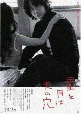 归雁 免费观看电视剧全集
